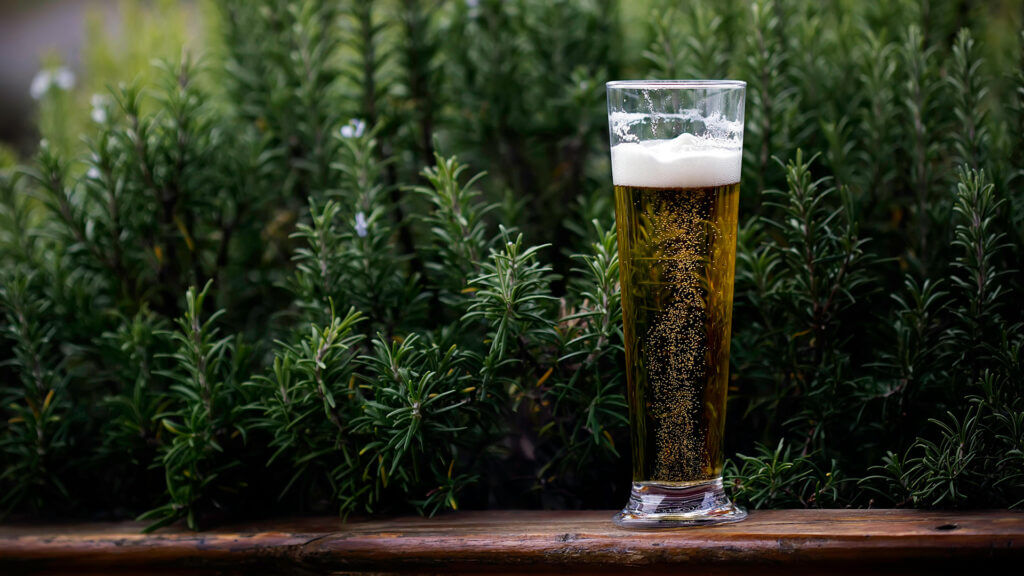500 anos da Reinheitsgebot: Lei da pureza da cerveja